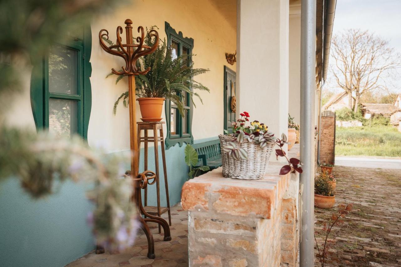 Tradicionalna Kuca Biljkinog Oca Villa Lug Luaran gambar